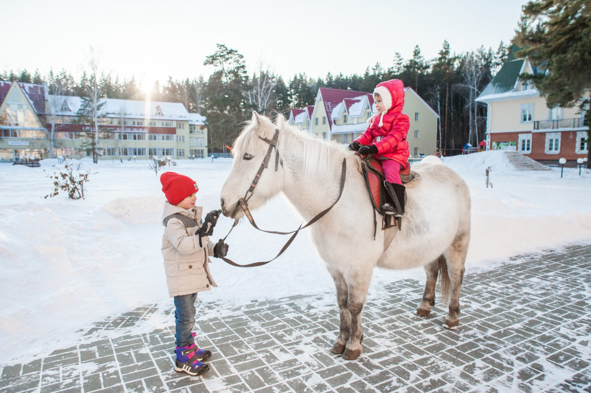 Катание на лошади Катание на лошади