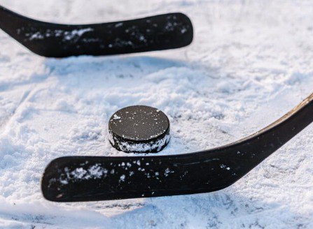 Аренда клюшки и шайбы хоккейной