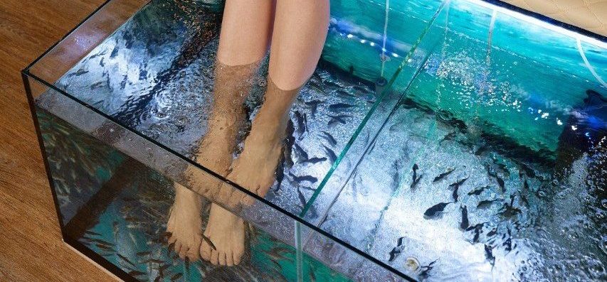 Фишинг-пилинг гарра руфа