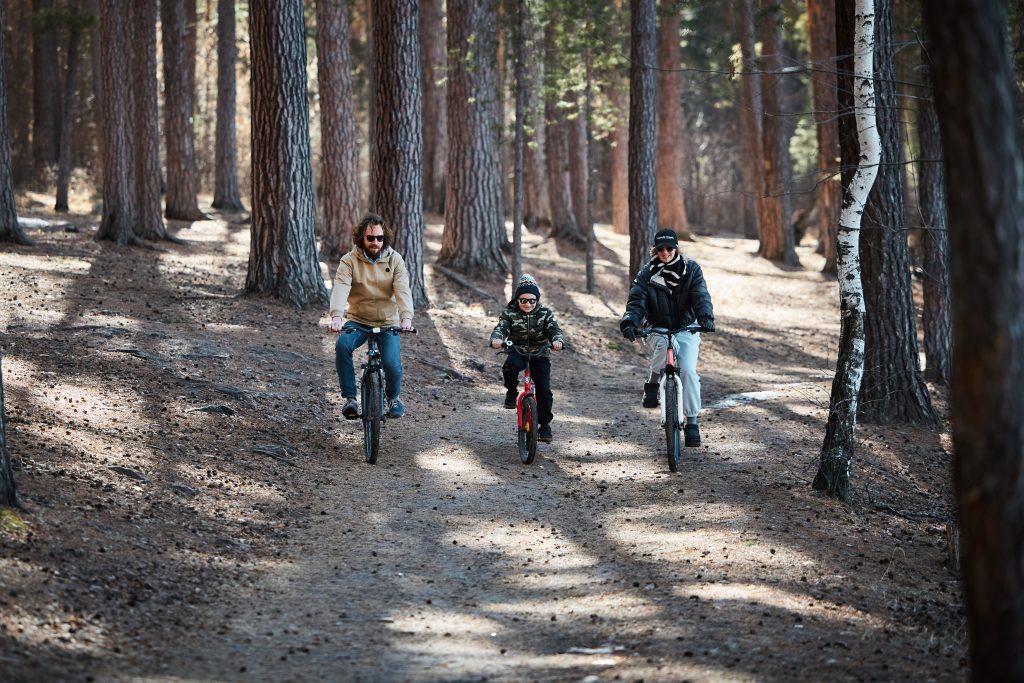 Прокат велосипеда  в Баден-Баден - термы Еткуль