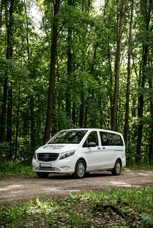 Трансфер на 19 мест В ПОДАРОК