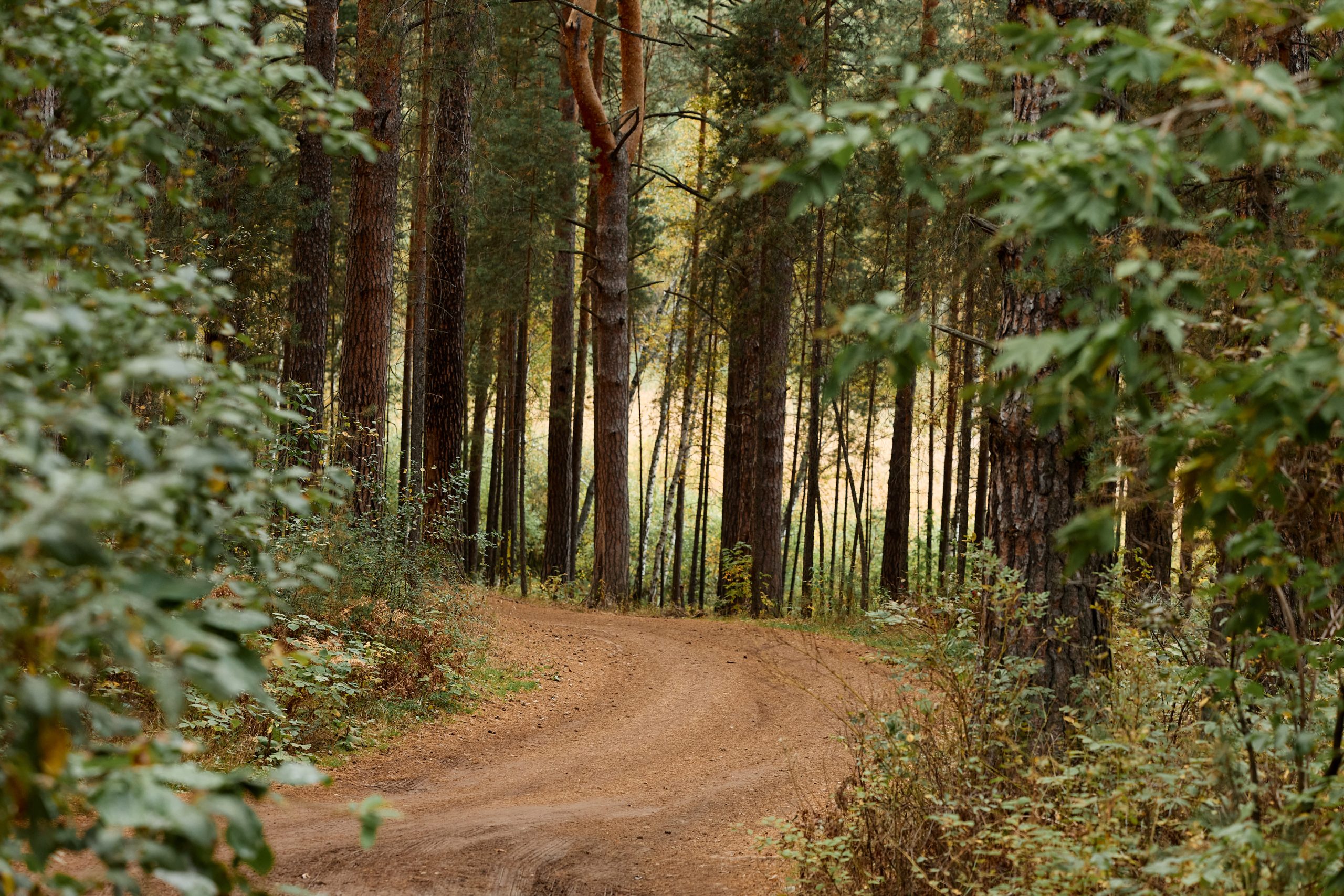 Правила оплаты